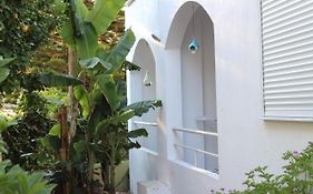 Carolina Apartments Crete