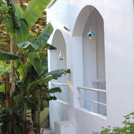 Carolina Apartments Crete Αγία Πελαγία  Εξωτερικό φωτογραφία