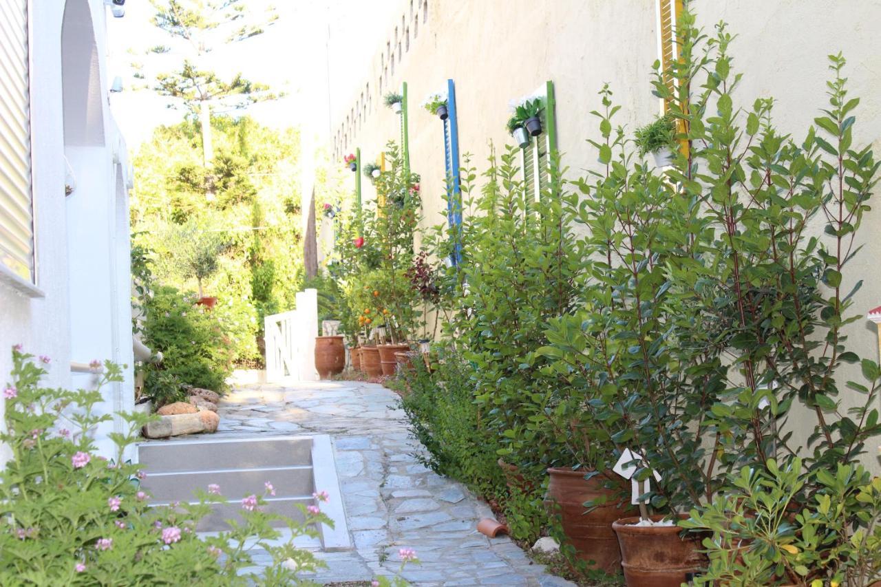 Carolina Apartments Crete Αγία Πελαγία  Εξωτερικό φωτογραφία