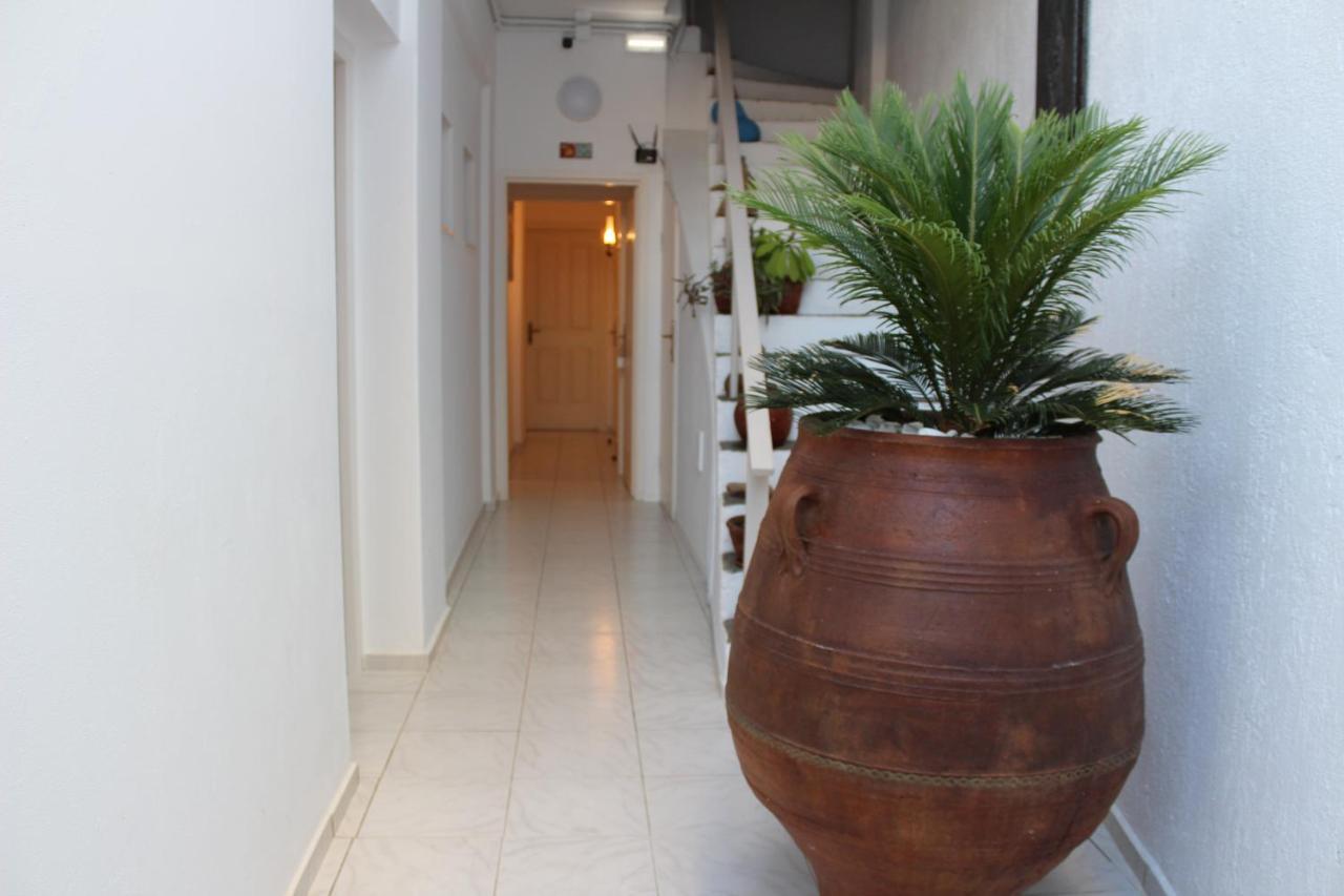 Carolina Apartments Crete Αγία Πελαγία  Εξωτερικό φωτογραφία