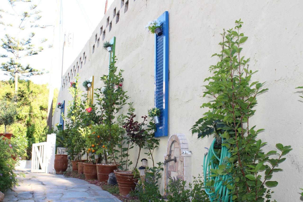 Carolina Apartments Crete Αγία Πελαγία  Εξωτερικό φωτογραφία